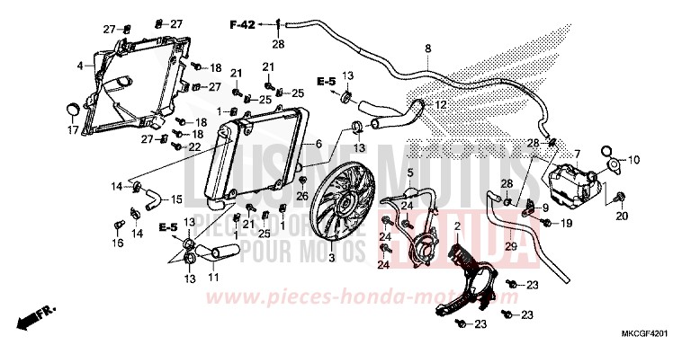 RADIATOR (L.) for Gold Wing CANDY ARDENT RED (R367) from 2020